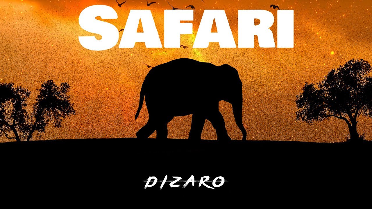 DIZARO   Safari