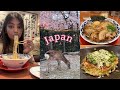Japan vlog pt4  nara park deers osaka street food shopping