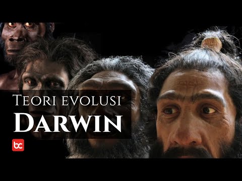 Video: Siapa Yang Diuntungkan Dari Teori Evolusi Darwin? Bagian # 2 