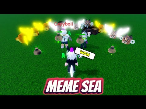 Chơi Meme Sea Cùng Fan !