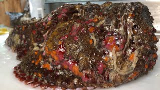 世界最強クラスの猛毒魚を獲って食べる【オニダルマオコゼ】