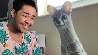 LoveBoat Reacts to UNUSUAL MEMES COMPILATION V158