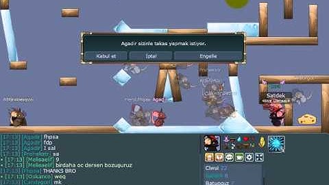 TRANSFORMİCE - SATDEK FT CLWUİ