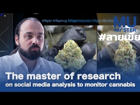 The master of research on social media analysis to monitor cannabis | MU The Master