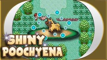 EPIC LIVE! Uncatchable Shiny Poochyena after 163 SRs!!!