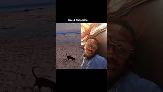#vnvideoeditor #capcut #collab