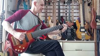 High End MIJ Bass Guitars: Tune TWX6 Custom #bass #bassguitar #soundcheck #electricbass #jazzbass