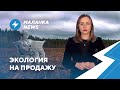 ⚡️Уголовка за эмодзи / Экологическая катастрофа / Налоговая взялась за ИП