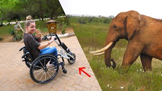 Can you Safari in a Wheelchair?!  Motorized Chair Mod!