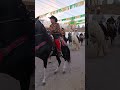 #caballos #caballosbailadores #vaquero #desfile #lavega
