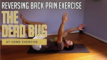 Reversing Back Pain Exercises At Home: Dying Bug or Dead Bug