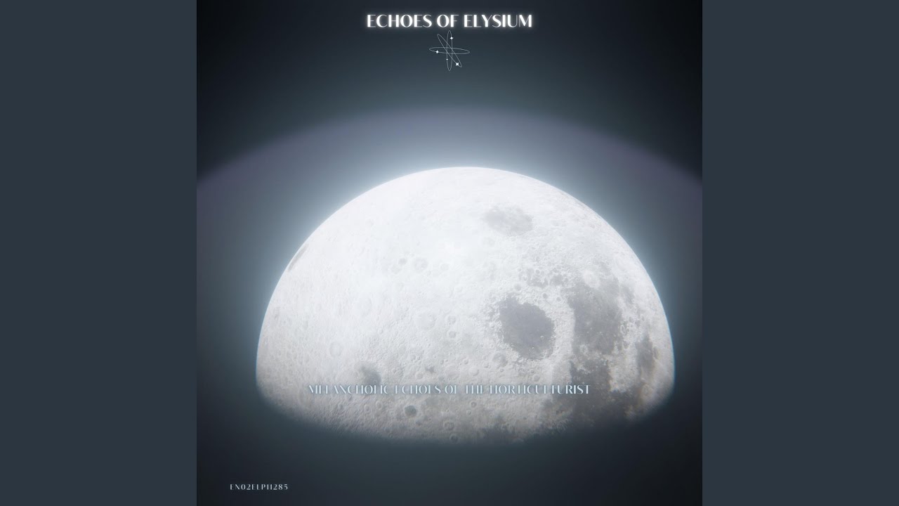 Midnight Serenade in the Moonlight (Original)