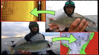 How to Catch TONS of Walleyes on a NEW LAKE!