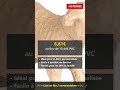 Décopatch SA235C - Un support en papier brun mâché 23x10x16 cm, Mouton