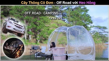 Off Road , Camping | Cây Thông Cô Đơn Đà Lạt Cùng Bán Tải Hồng Nữ tính  và Tự Zui Zẻ