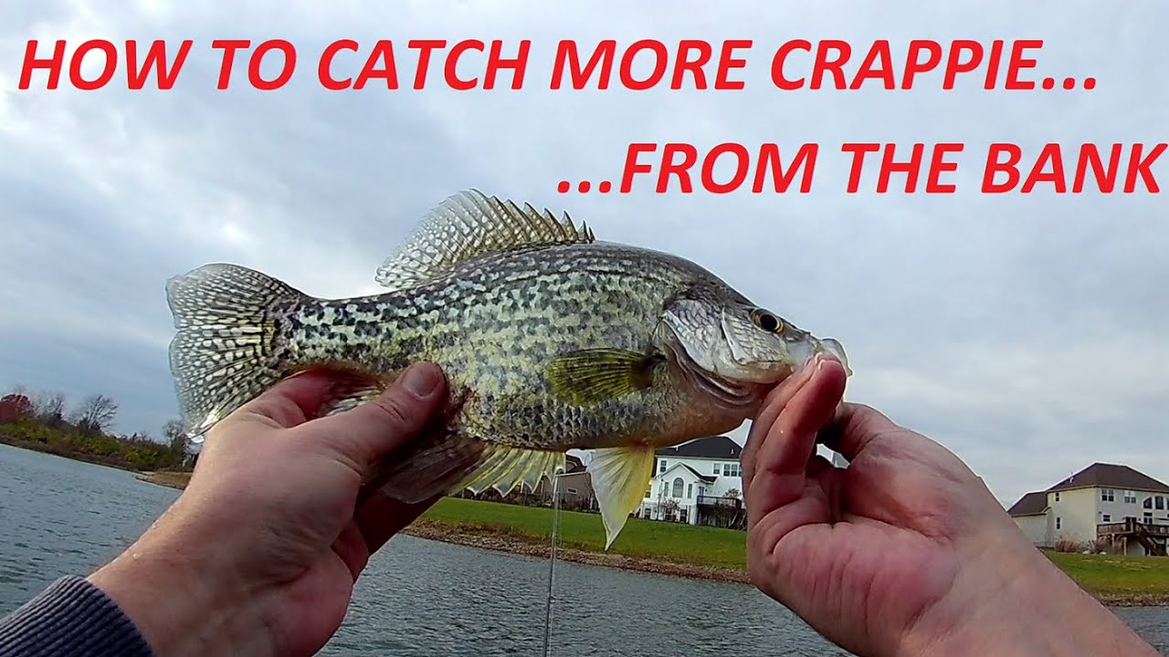 How to CATCH CRAPPIE in the fall FROM THE BANK Ohio Pond Crappie
