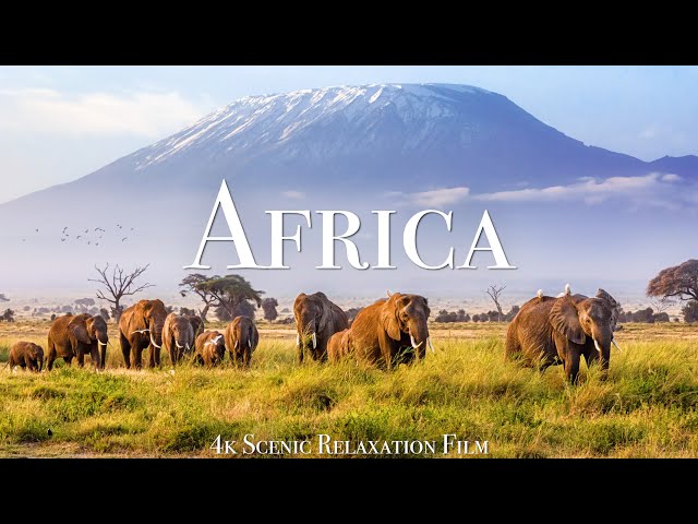 Africa 4K - Scenic Relaxation Film With African Music class=