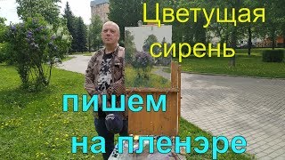 Как нарисовать сирень. Урок живописи. часть 1