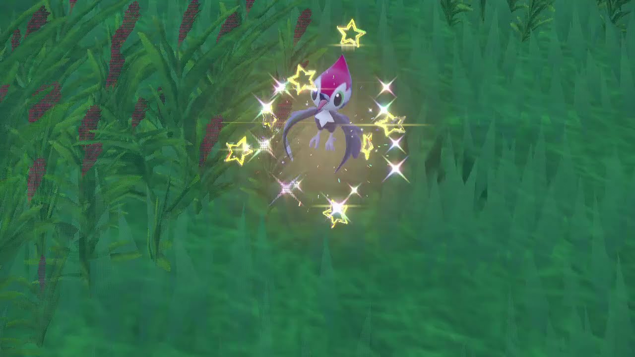 PEV : Picassaut (Pikipek) Shiny