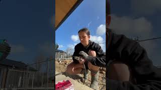 Day In The Life Of A Sparky Apprentice   electrician electrical sparky sparkylife