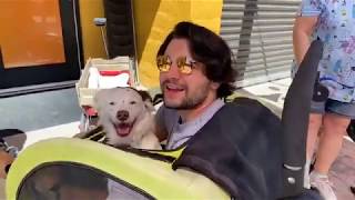 Foothills Animal Rescue - Shelter Pet Car Races