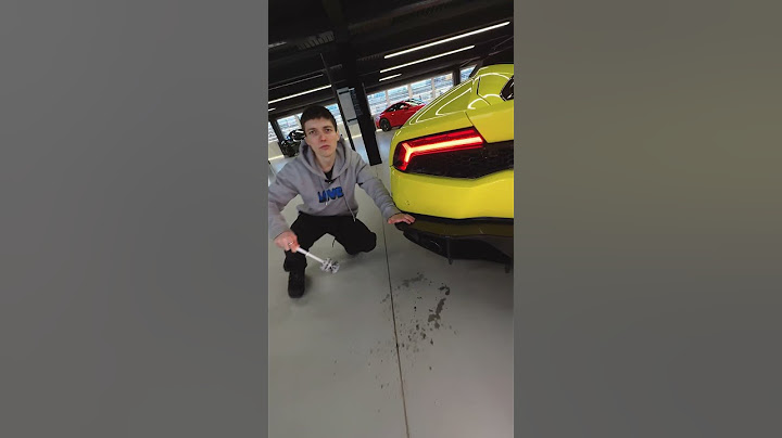 Ершик + выхлоп Lamborghini #shorts