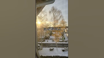 سورة الضحى | #محمود_الأسدي #explore #subscribe #like