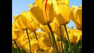 Lare Gunung.wmv