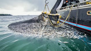 Everyone should WATCH this video. Big Catch Hundreds Tons Fish With Modern Big Boat in Deep Sea