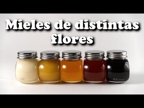 Video: Tipos de miel de flores: ¿Diferentes flores producen diferentes mieles?