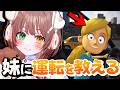 【妹に運転を教える】けど正直妹とどっちがポンコツかって言われたら難しい質問だね、でも声で指示してできないなら悪いのは全部妹だRY【清楚系/酢酸かのん】