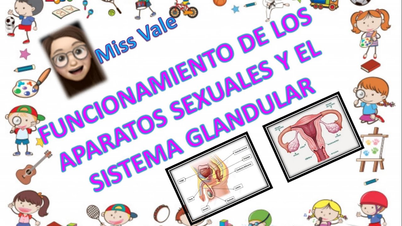 Ciencias Naturales "Funcionamiento de los aparatos sexuales y el