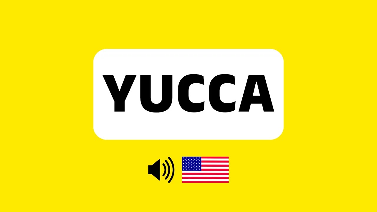 How to Pronounce Yucca (Correctly) + Real Life Examples - YouTube