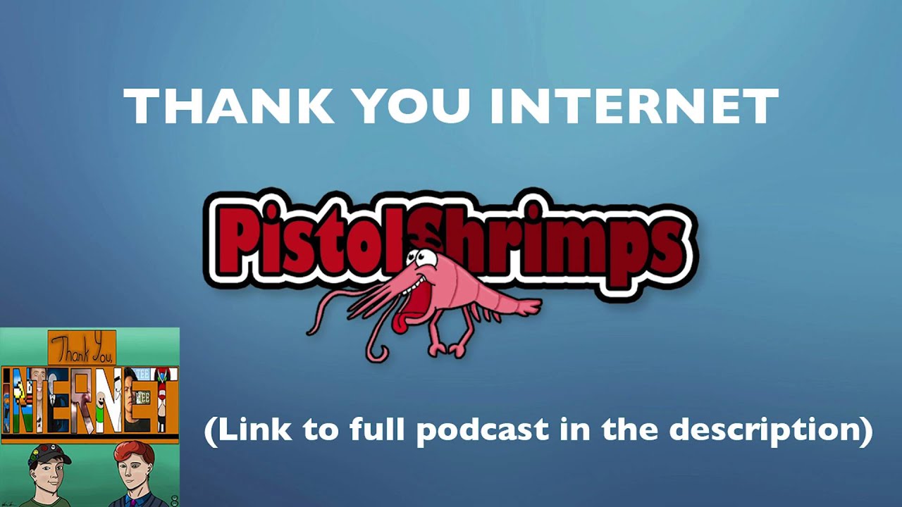 PistolShrimps on THANK YOU INTERNET podcast