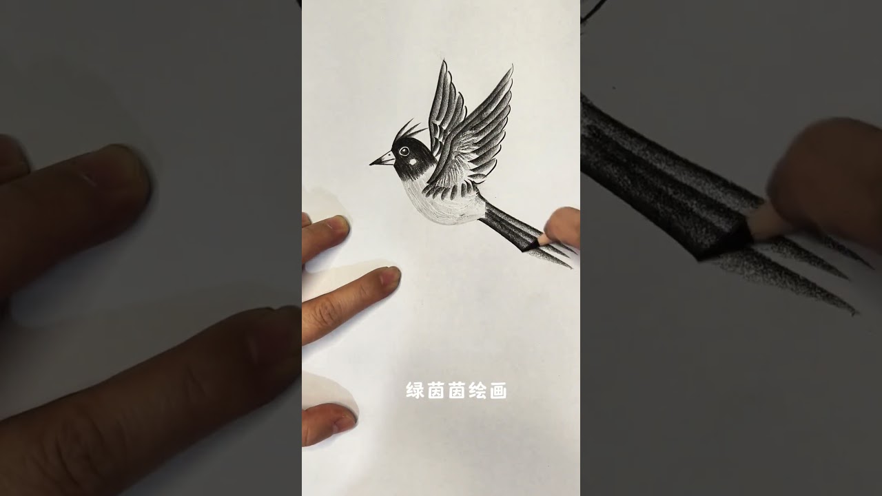 Use a few simple strokes of charcoal to draw a bird, which is beautiful and easy to learn # Zero-Ba