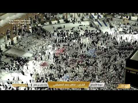 بث مباشر قناة القرآن الكريم  