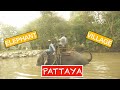 ELEPHANT VILLAGE Pattaya Tripadvisor REVIEW