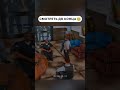 ФБР ЛОВЯТ ВЗЯТОЧНИКОВ в GTA SAMP