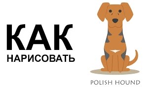Картинки собака. КАК легко НАРИСОВАТЬ СОБАКУ карандашом Картинки собака. КАК легко НАРИСОВАТЬ СОБАКУ карандашом