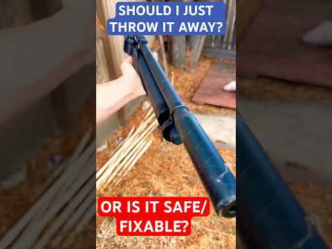 Should I Throw It Away Or Shorts Viral Airgun