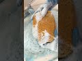 Satisfying Foam Cleaning Experiment 🧼✨ Colorful Sponge ASMR #Shorts