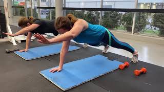 Plank Shoulder Extension