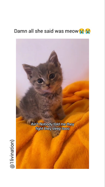 Download lagu bro really fell asleep😂