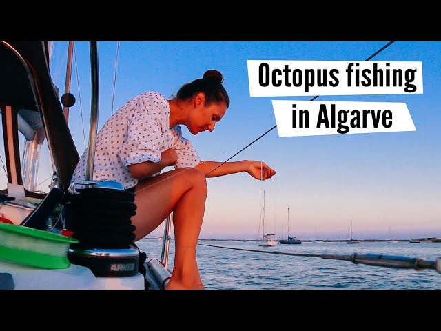 Trying to catch an octopus in Culatra, Portugal #26 