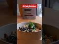 Russia 🇷🇺 best restaurant || #aziatybistro St. Petersburg || #food