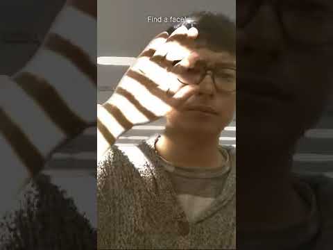 高陽社 アラ KOYO ARA コーヨーアラ | blogcardososilva.com.br