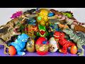Jurassic World Unboxing Review Asmr Colorful Dinosaur T-rex Spinosaurus Stego Giga Triceratops Eggs
