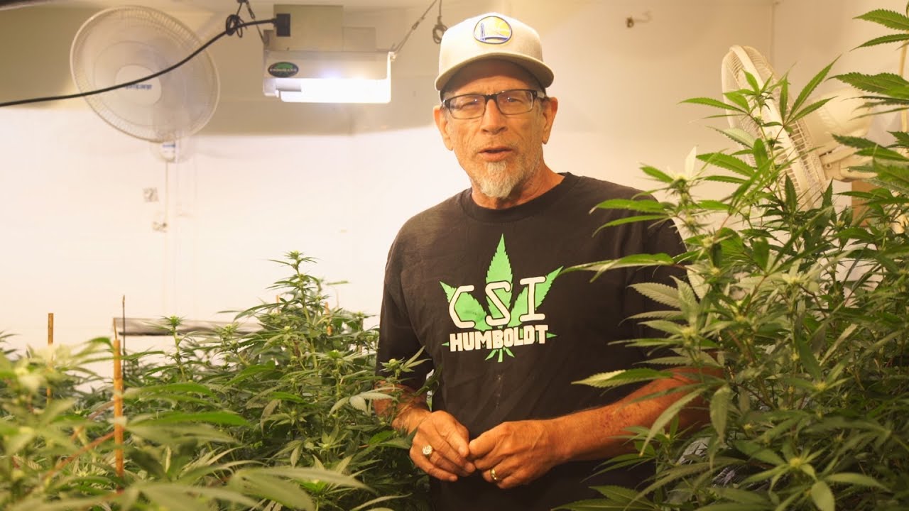Kendo Talks Nutrients, Supreme Growers & Endomaxx