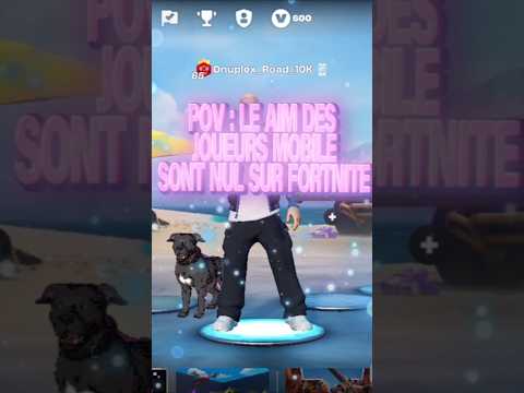 L'expérience mobile : application dédiée et site responsive