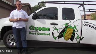 Scorpion Pest Control Apache Junction AZ 480-493-5028 Ozone Pest Control